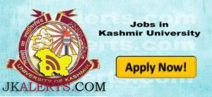 Jobs in University of Kashmir post Content Manager