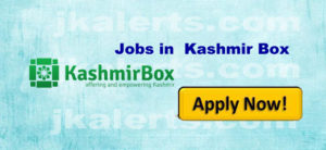 jobs in kashmir box