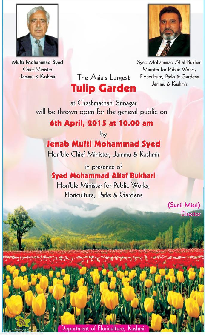 Tulip Garden Jammu & Kashmir at Cheshma shahi Srinagar