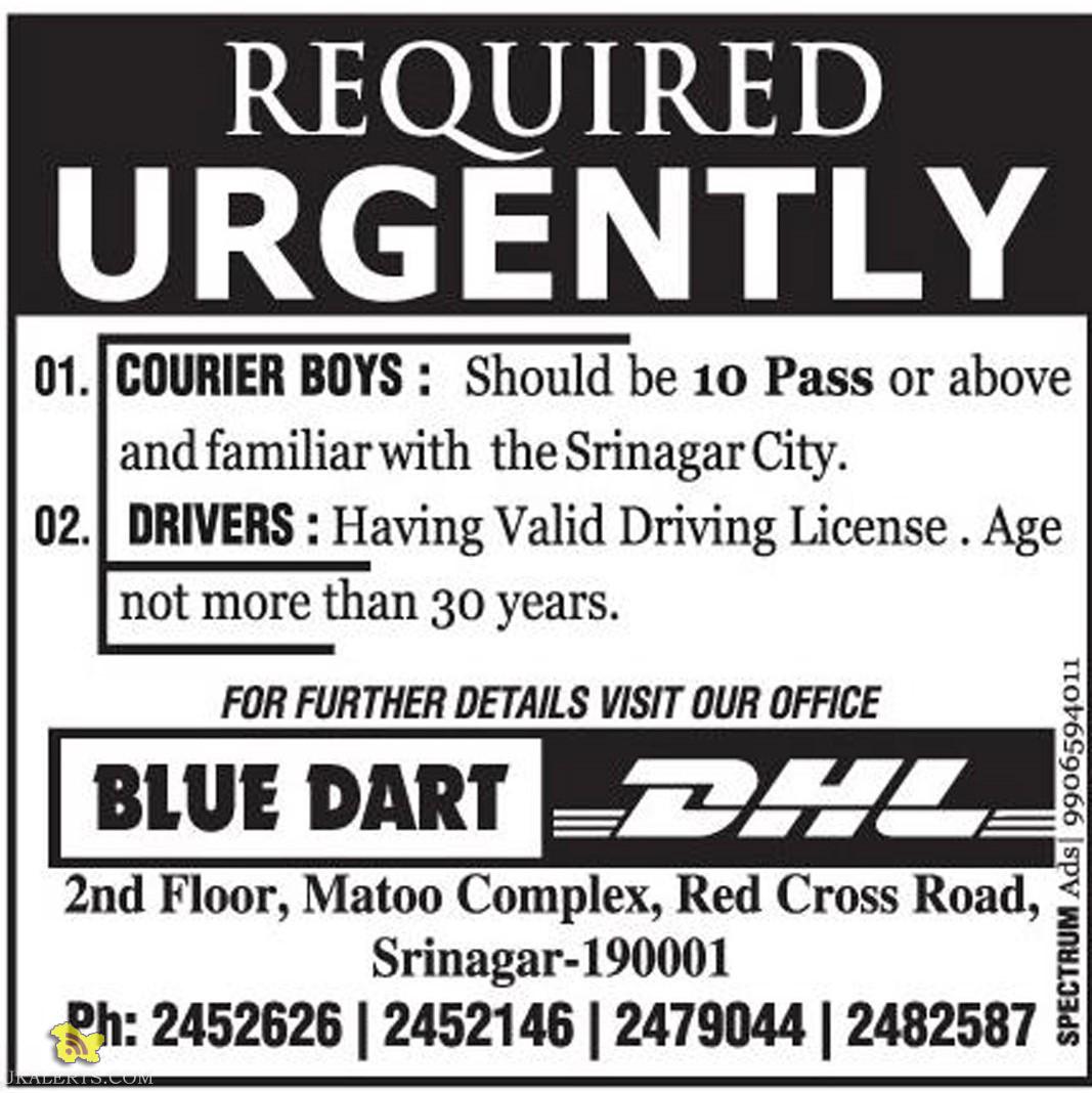COURIER BOY, DRIVER JOBS IN BLUE DART COURIER SERVICE,