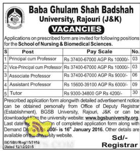 Principal, Vice Principal , Professor Jobs in Baba Ghulam Shah Badshah University, Rajouri (J&K)
