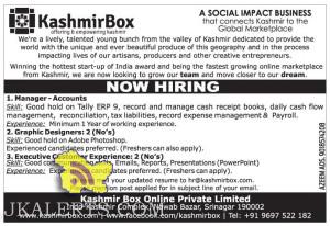 Manager, Graphic Designers, Executive Jobs in kashmir box