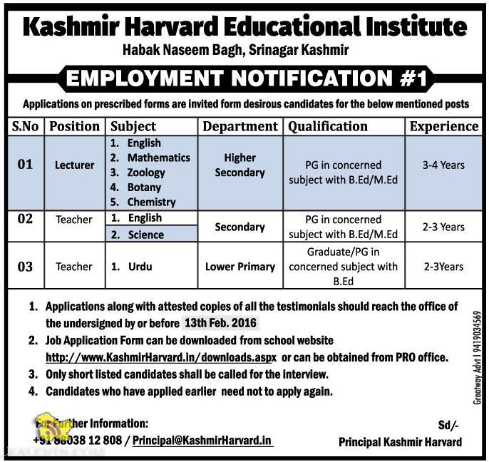 Jobs in Kashmir Harvard Educational Institute