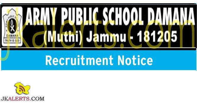 JOBS IN ARMY PUBLIC SCHOOL DAMANA MUTHI JAMMU, APS DAMANA