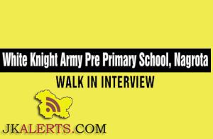 Jobs in White Knight Army Pre Primary School, Nagrota