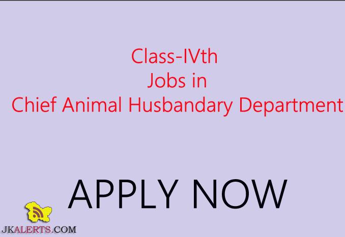 Class-IVth posts (Attendants) Jobs in Chief Animal Husbandary Department