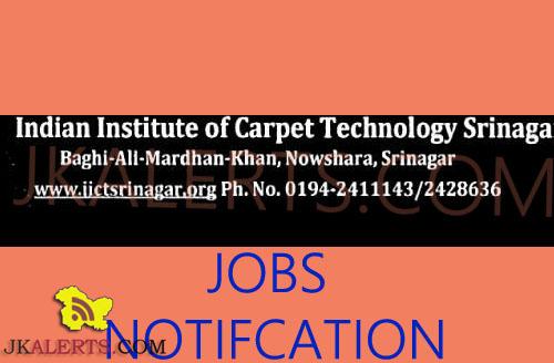 Jobs in Indian Institute of Carpet Technology (IICT)