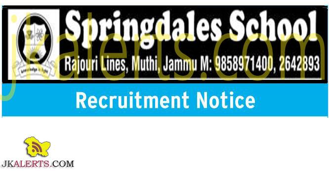 springdales public school jobs