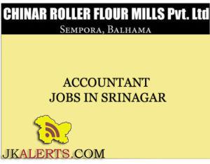 ACCOUNTANT JOBS IN CHINAR ROLLER FLOUR MILLS, PRIVATE JOBS IN SRINAGAR