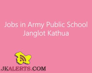 Jobs in Army Public School Janglot Kathua