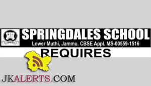 Teaching and Non teaching jobs in Springdale sschool jammu