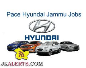 Pace Hyundai Jobs Jammu.