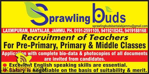Sprawing buds Recruitment of Teachers For Pre-Primary, Primary & Middle Classes