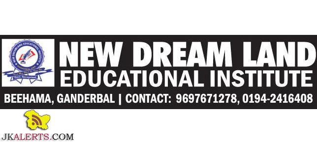 NEW DREAM LAND EDUCATIONAL INSTITUTE JOBS