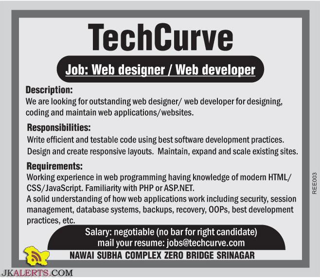 Web designer / Web developer jobs Techcurve