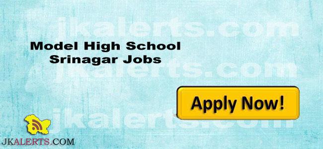 Model High School Srinagar Jobs
