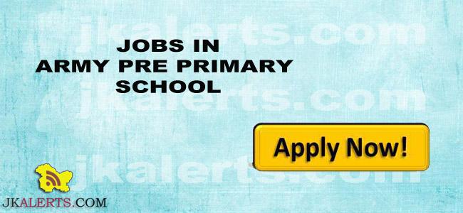 Jobs in Tiger Army Pre Primary School.