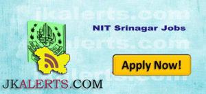 NIT Srinagar Jobs