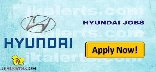 AM Hyundai Jammu Jobs