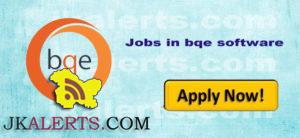 BQE Software Srinagar Jobs