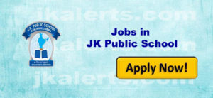 jobs jk public school