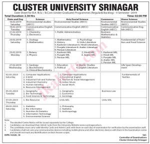 cluster university srinagar Jobs