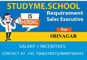 Studyme.School required Sale Executice for Srinagar city.
