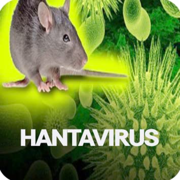 New Virus, Hantavirus ,kills man ,China, spreads fear.