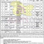 DSE Kashmir Provisional appointment of candidates for the post of Junior Assistant.