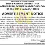 SKUAST Kashmir Recruitment 2021 | Junior consultant posts.