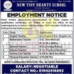 New Tiny Hearts School Srinagar Jobs Recruitment 2021.