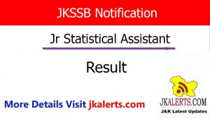 Jr Statistical Assistant