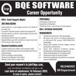 BQE Software Srinagar Jobs Recruitment 2022.