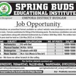 Spring Buds Educational Institute Budgam Jobs