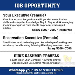 Tour Executive, Reservation Executive Jobs in Duke Kashmir Travels.