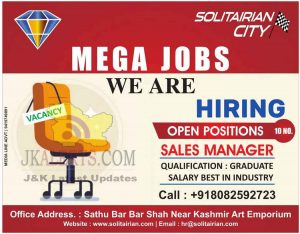 Sales Manager jobs in Kashmir.