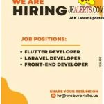 Flutter, Laravel, Front End Developer jobs.