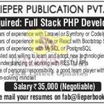 Developer job in Lieper Publication Pvt. Ltd.
