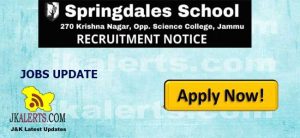 Job in Springdales School Jammu.