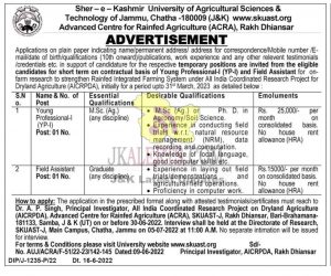 SKUAST Jammu Jobs 2022 Young Professional-1Field Assistant.