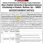 SKUAST Kashmir job 2022 Senior Research Fellow