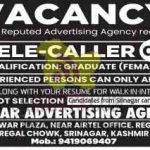 Tele-caller post in Chinar advertising agency