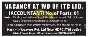 WD ITC LTD. Accountant required.