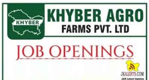 Khyber Agro Farms Jobs