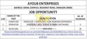 Computer operator and sales girls jobs in Ayoub Enterprises
