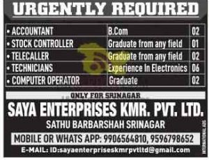 Jobs in Saya Enterprises Kmr. pvt. ltd.