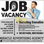 Marketing Executive jobs in Miracle advertising agency