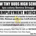 New Tiny Buds High School Jobs