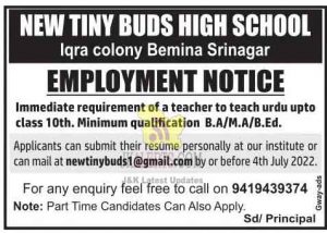 New Tiny Buds High School Jobs
