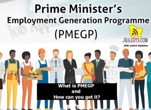 Prime Minster Employment Generation Programee PMEGP Scheme.